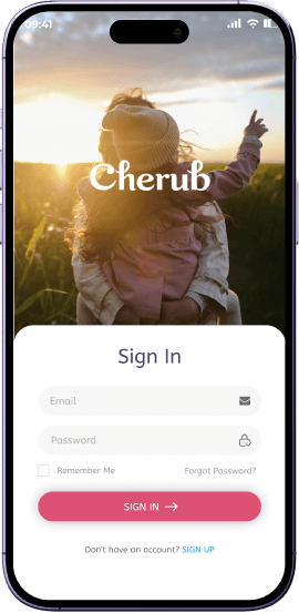 Login Screen