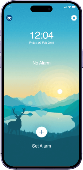 Set Alarm Screen