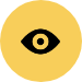 Vision Icon